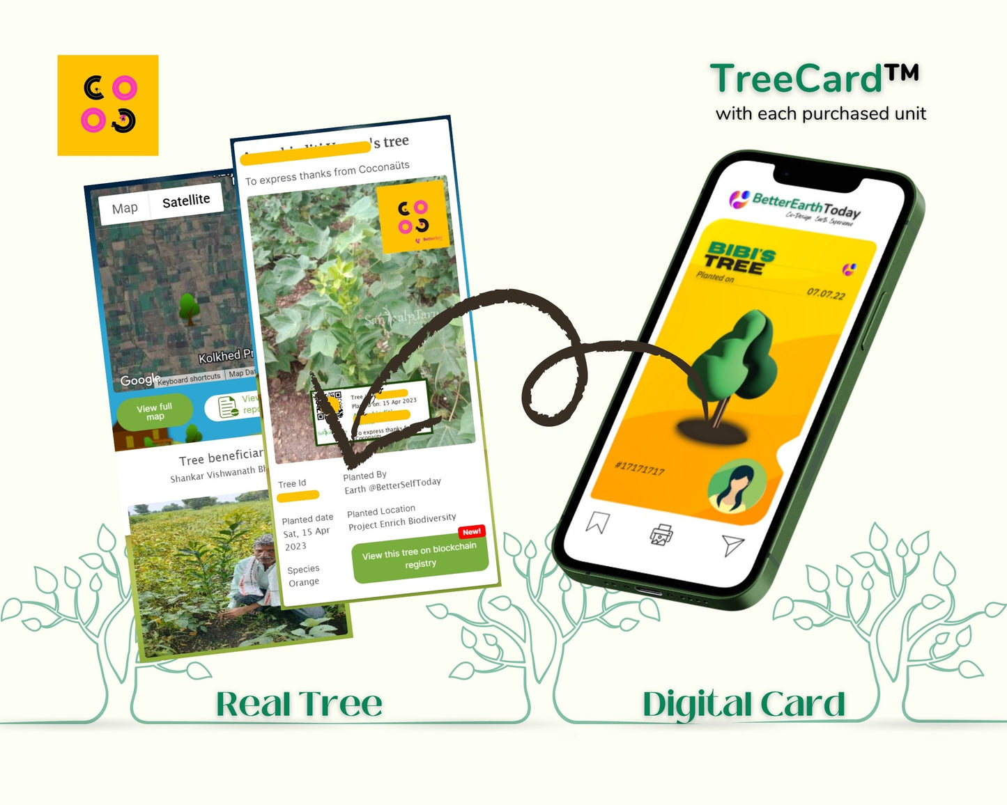 Digital TreeCard with details of the tree planted, such as location, date, tree species, carbon (CO2e) offset value and its economic impact.